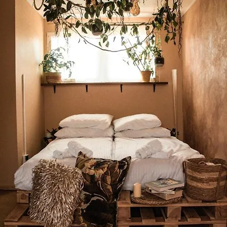 Koza I Brzoza, Z Kontenerow Lodge Piechowice (Karkonosze)