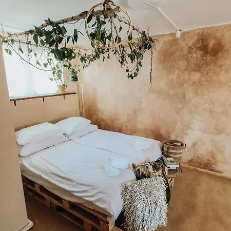 Koza I Brzoza, Z Kontenerow Lodge Piechowice (Karkonosze)