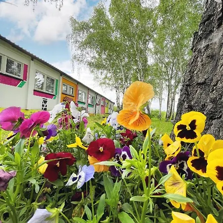 Koza I Brzoza, Z Kontenerow Piechowice (Karkonosze)