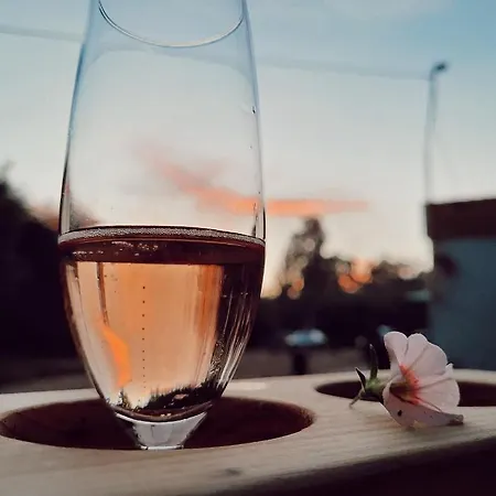 Koza I Brzoza, Z Kontenerow * Piechowice (Karkonosze)